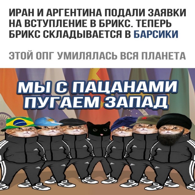 Единой валюты у БРИКС не будет, заявили в Кремле