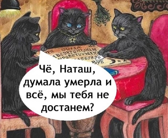 Так себе картинки 15.03.25