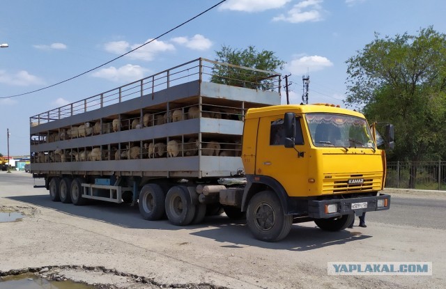 Вам всё равно никто не поверит: 30 фото удивительных случаев от пользователей Сети