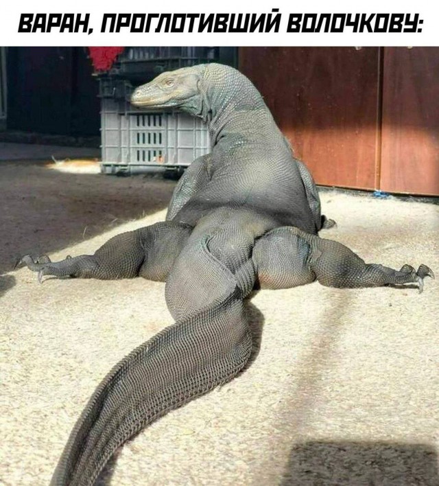 Каартинки весёлые и не очень