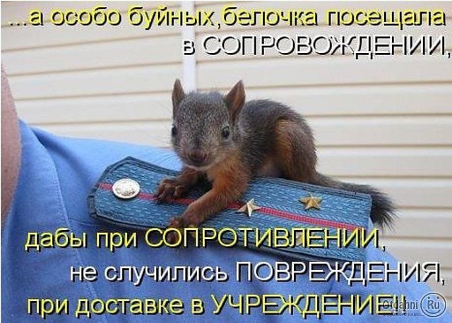 "Я русский, мне п***й!"