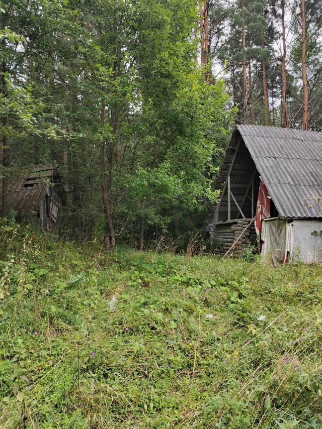 Малая родина