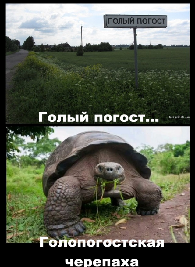 Так себе картинки 20.08.25