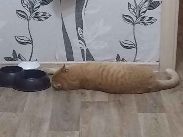 Оглянись, незнакомый прохожий