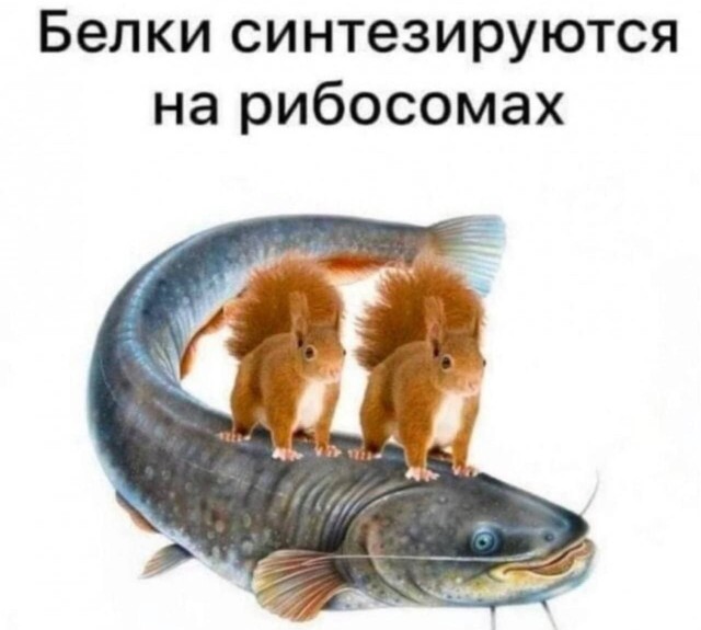 Картинки для деградации 185 (разной степени свежести)