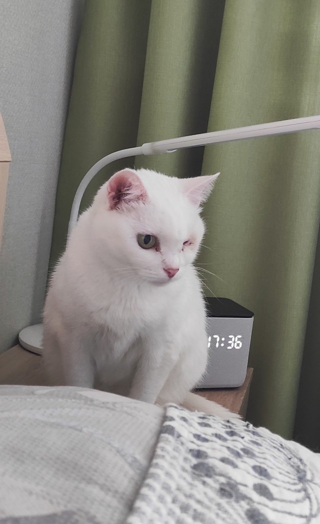 Вечерний просмотр тв