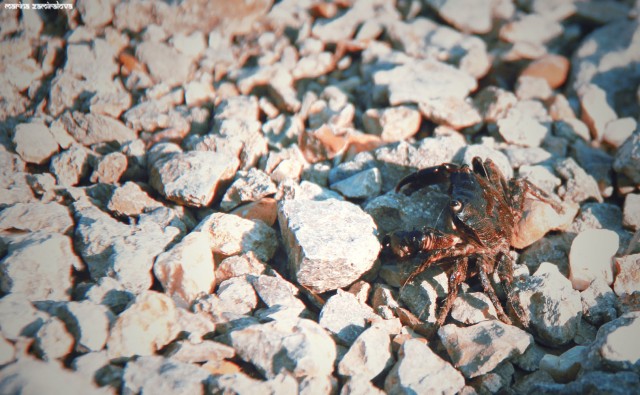 Крым: Судак и окрестности