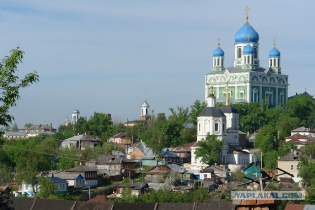 Тамбовский волк тебе товарищ...