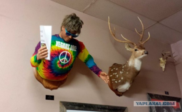 Смешные картинки