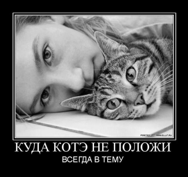 Коты, из которых получились прекрасные няни