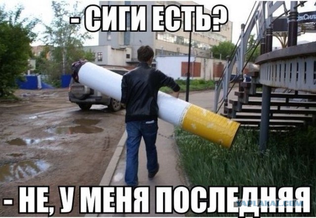 Картинки из инета