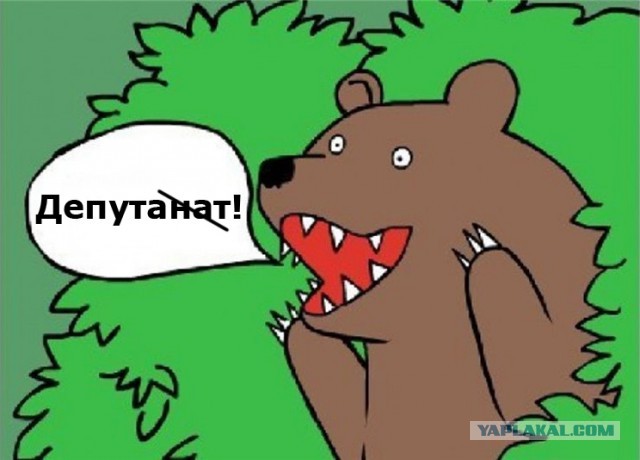 Тем временем в Сыктывкаре