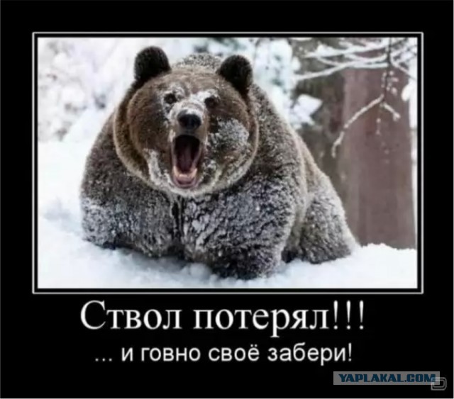 Карикатуры