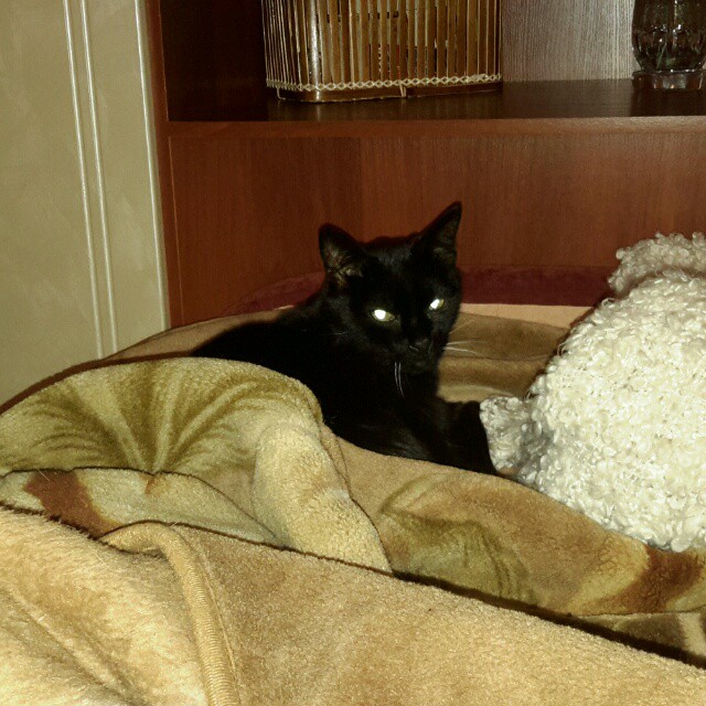 Те, которым мы помогли.