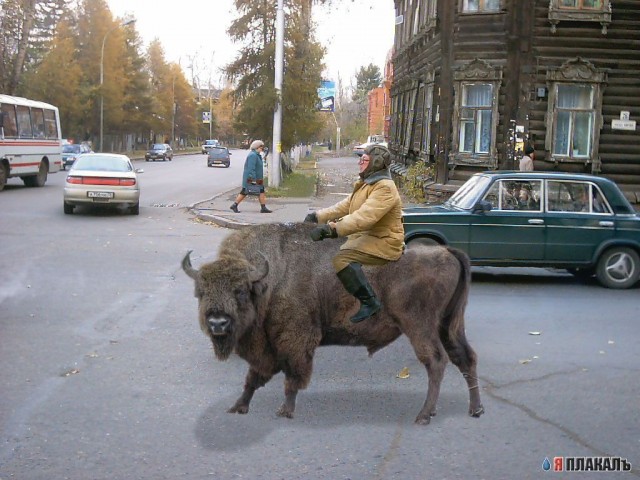 Фотожаба: Гонщик