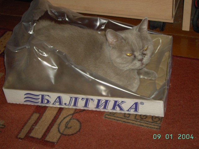 Подборка картинок 20.02.16