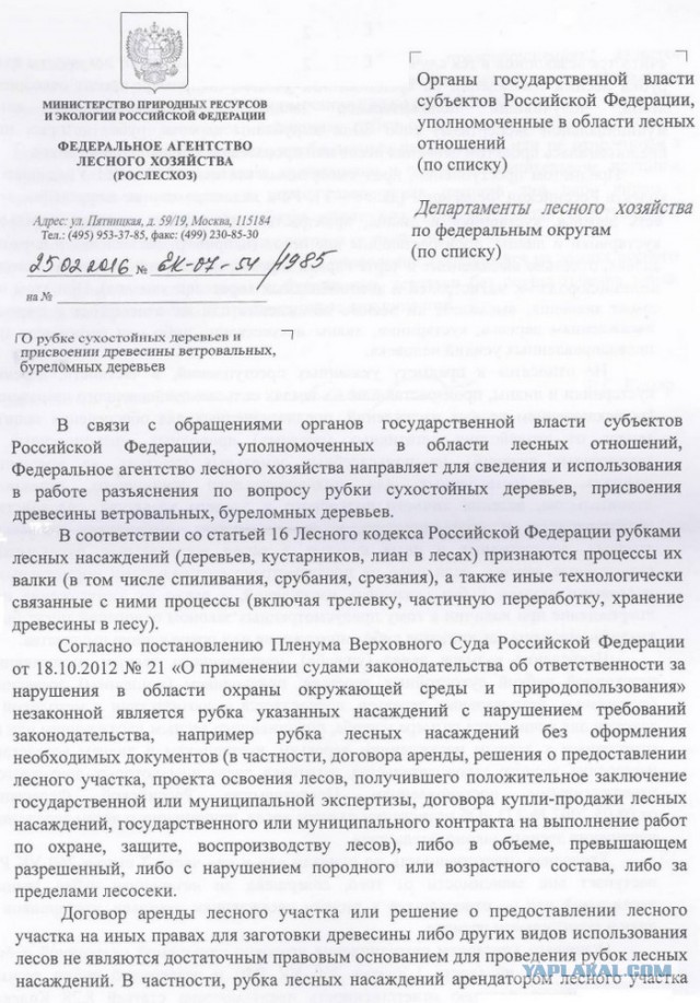 Рослесхоз разъяснил, что рубка сушняка и присвоение ветровальной и буреломной древесины - это хищение