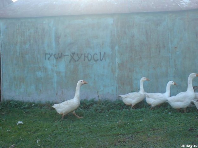 Подборка идиотских фотографий, часть 4