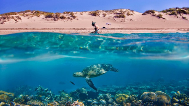 Подборка прикольных фото