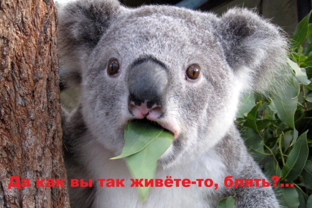 Опять дела семейные