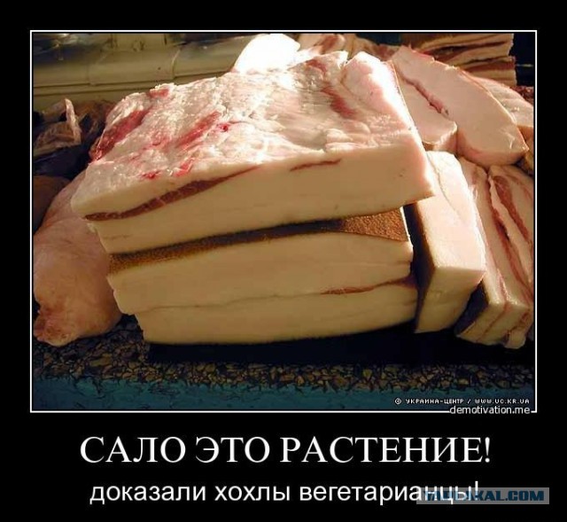 Как на самом деле растёт и выглядит еда перед тем, как попасть на полки супермаркетов