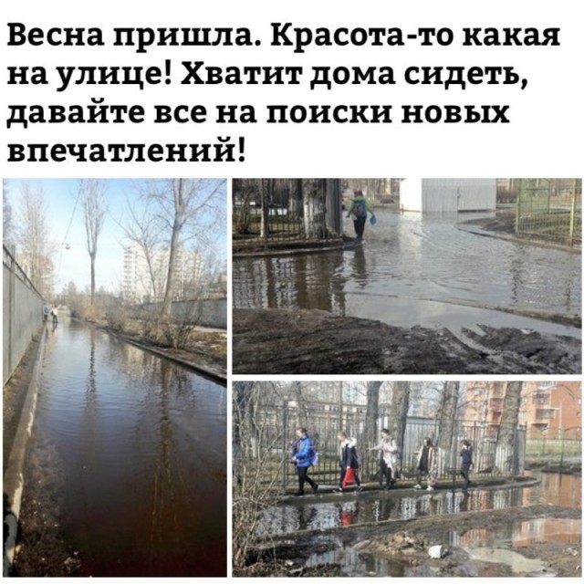 О весне с юмором картинки