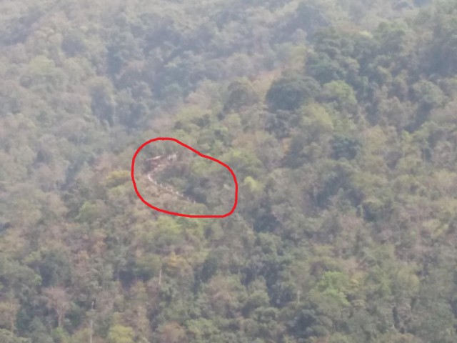 К живым мостам и обратно. Заметки из Индии