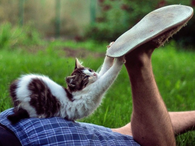 Немного милоты