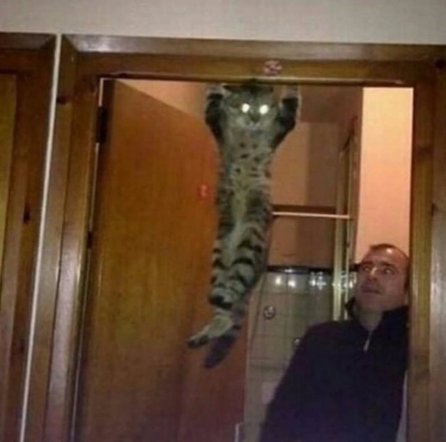 Немного милоты