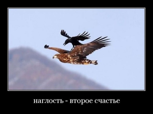 Истории о том, как люди столкнулись с вопиющей наглостью и не растерялись