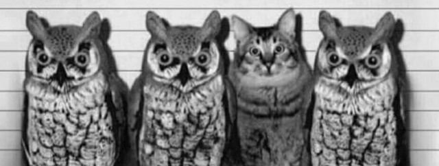 На Восточном фронте без перемен