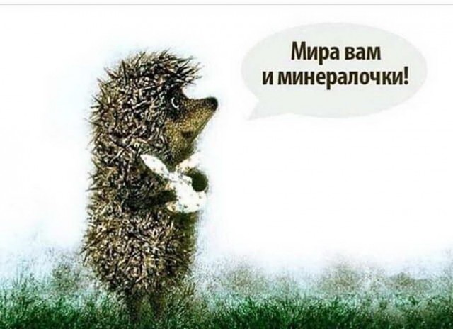 Юмор в картинках