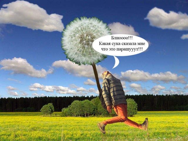 Как можно так спать?