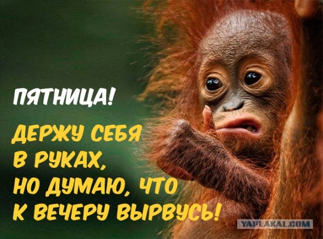 Фотки и картинки: юморные и красивые, забавные и милые 12.03.21