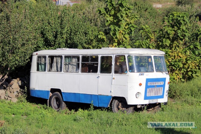 Какой автомобиль взять первым