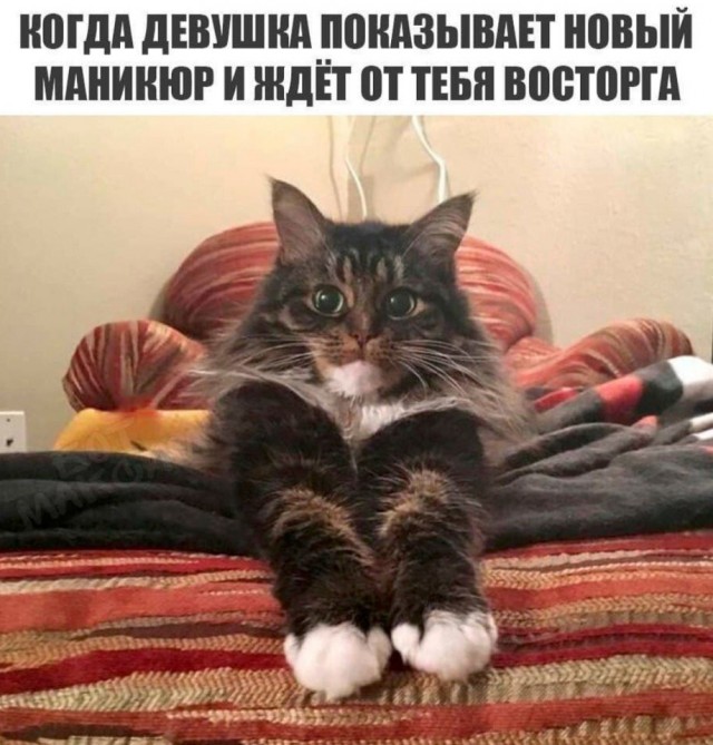 Так себе картинки 10.09.21
