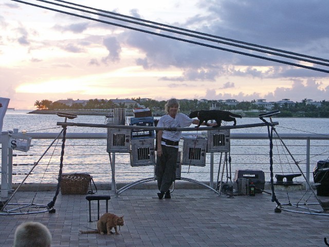 Деревенская Америка - 8