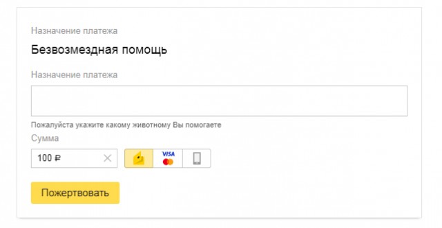 Котики в беде