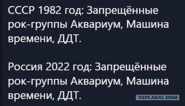 Материалы административного дела Юрия Шевчука вернули составителям в Уфу. Петербургский суд не устроило, как их оформили
