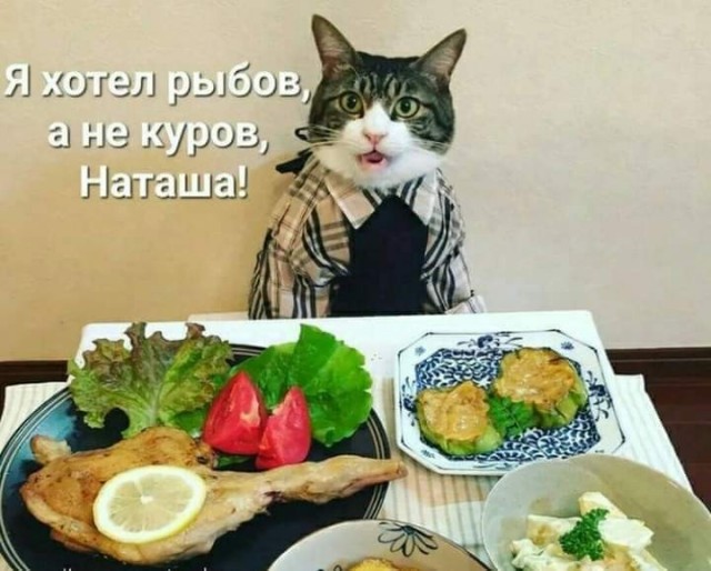 Пингвины из японского океанариума в прямом смысле объявили голодовку из за того, что им стали покупать более дешёвую рыбу