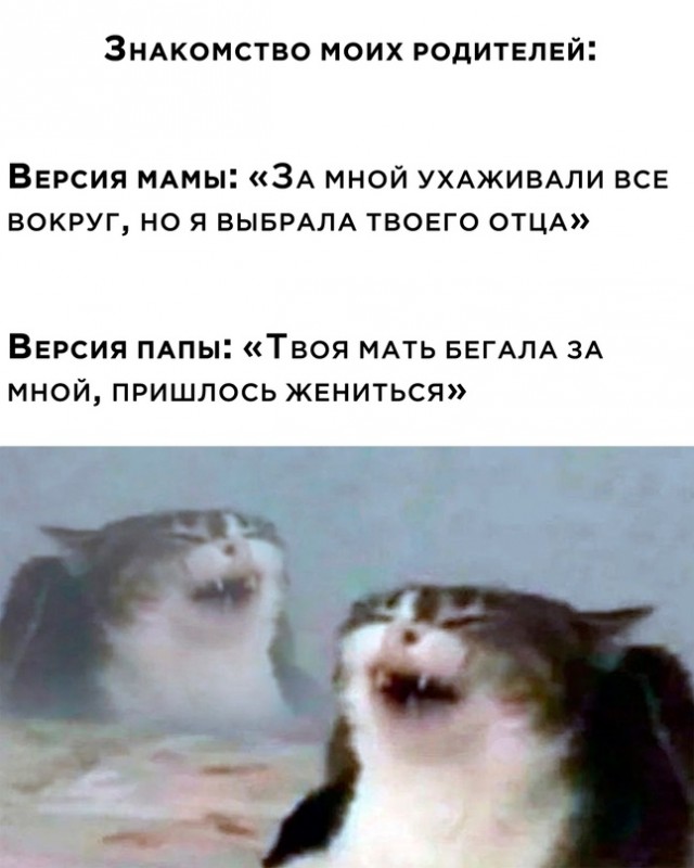 Весёлый полтишок 08.09.22