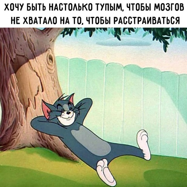 Весёлый полтишок 02.10.22