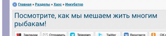 Посмотрите, как мы мешаем жить многим рыбакам!