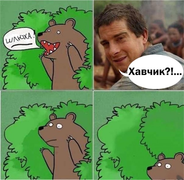 Беар и Bear