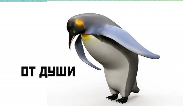 Фуроводу не повезло