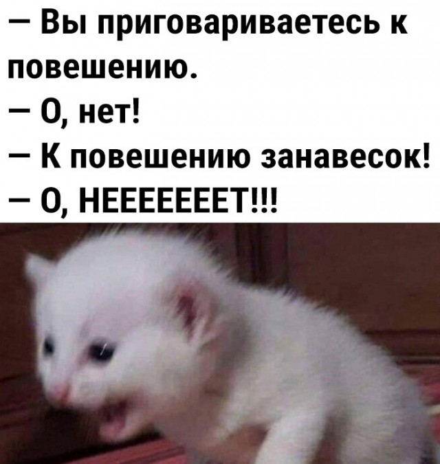 Скупка краденого из сети 24-05-2023