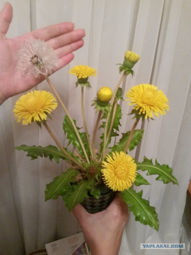 Восточное моделировние