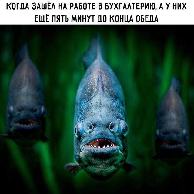 Так себе картинки 27.08.23