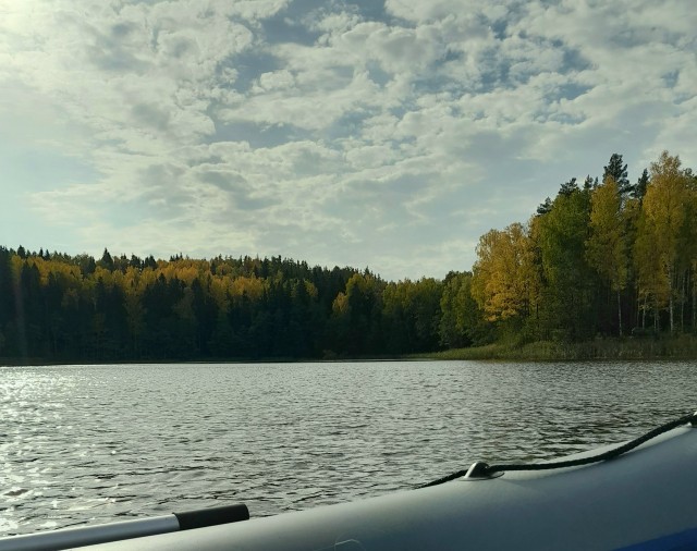 Краски осени