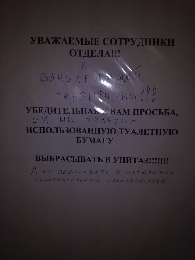 Перлы 12.10.23